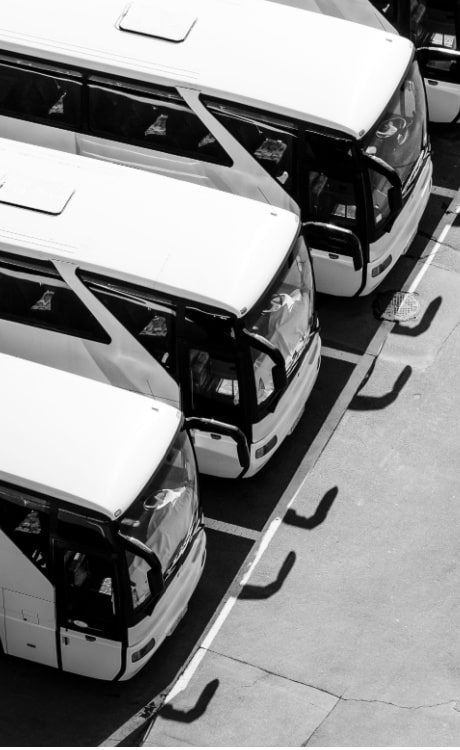 a row of white charter buses parked on asphault